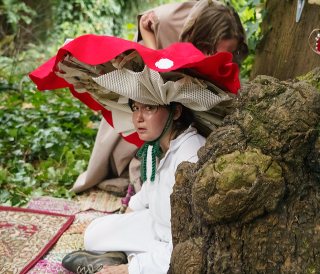 2022 Shroom Show-3534.jpg